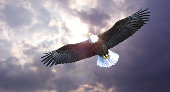 人生就是搏(中国集团)官方网站