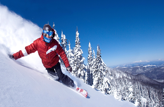 人生就是搏(中国集团)官方网站