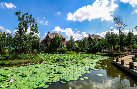 人生就是搏(中国集团)官方网站