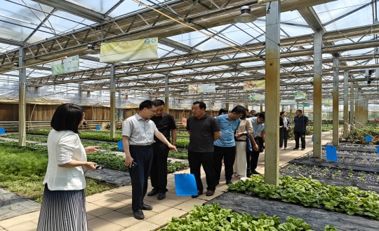 29.中国绿色食物开展中心相关向导莅临农业总公司考察调研_副本.jpg